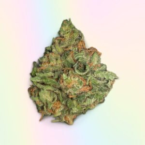 Mango Star Strain
