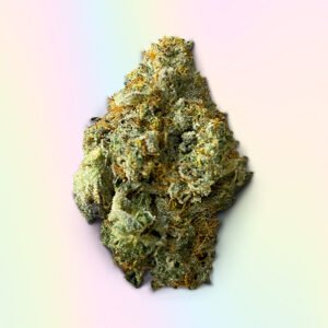 Purple Dawg Strain