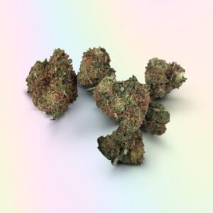 AFGHANI Strain UK