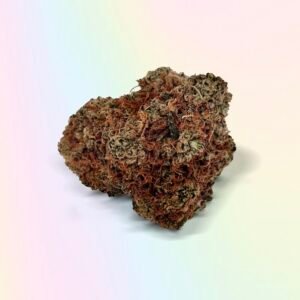 Biscotti pebble Strain UK