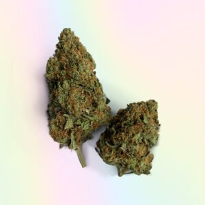 JACKPOT Strain