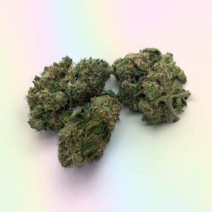 Sour Amnesia