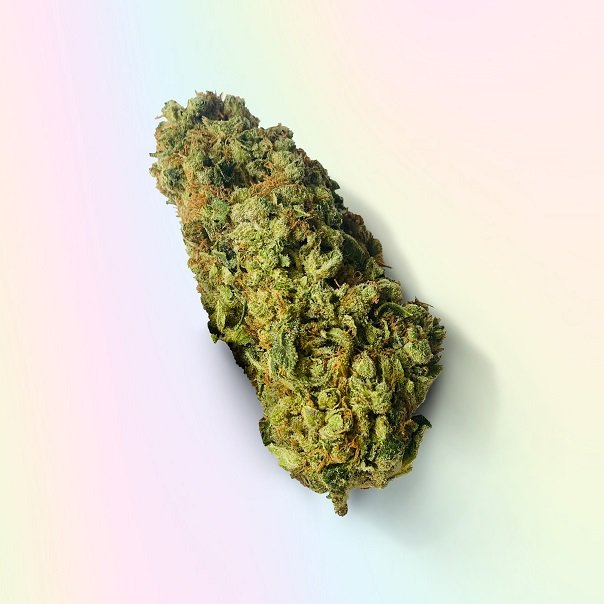 Skunk # 1 Strain UK